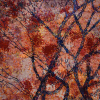 Michelle Ault